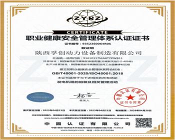 職業(yè)健康安全管理體系認(rèn) 證證書(shū)